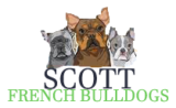 Scott French Bulldogs