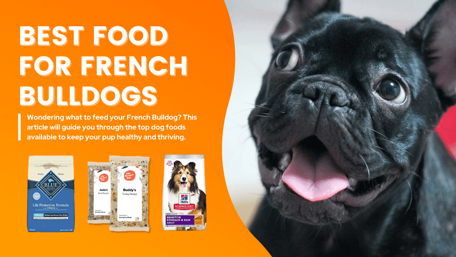 best food for french bulldog